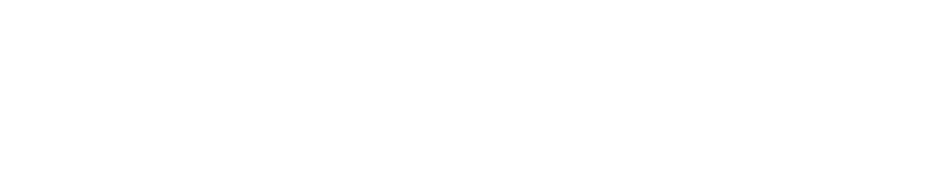 logo_primary_singlestore_white